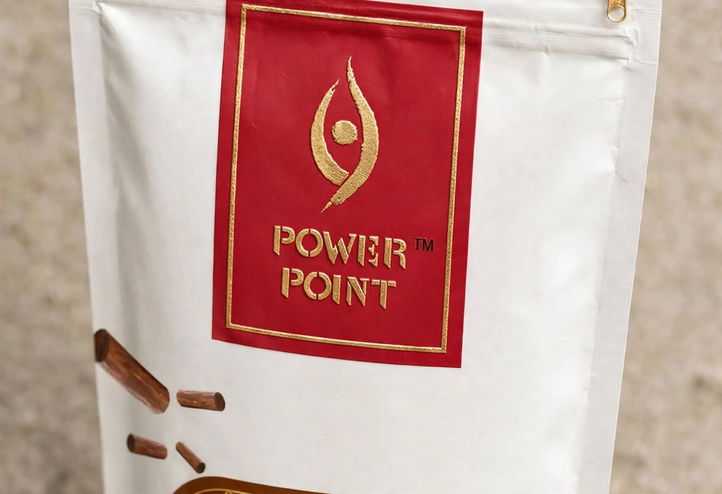 Power Point Chandanam Agarbatti 110g | Mysore Sandalwood Incense Sticks | Charcoal-Free Premium Fragrance for Puja, Meditation & Home