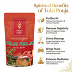 PowerPoint Tulsi Pooja Incense Sticks (110g) | 100% Charcoal Free | Holy Basil & Eucalyptus | Natural Air Purifier | Fusion Range
